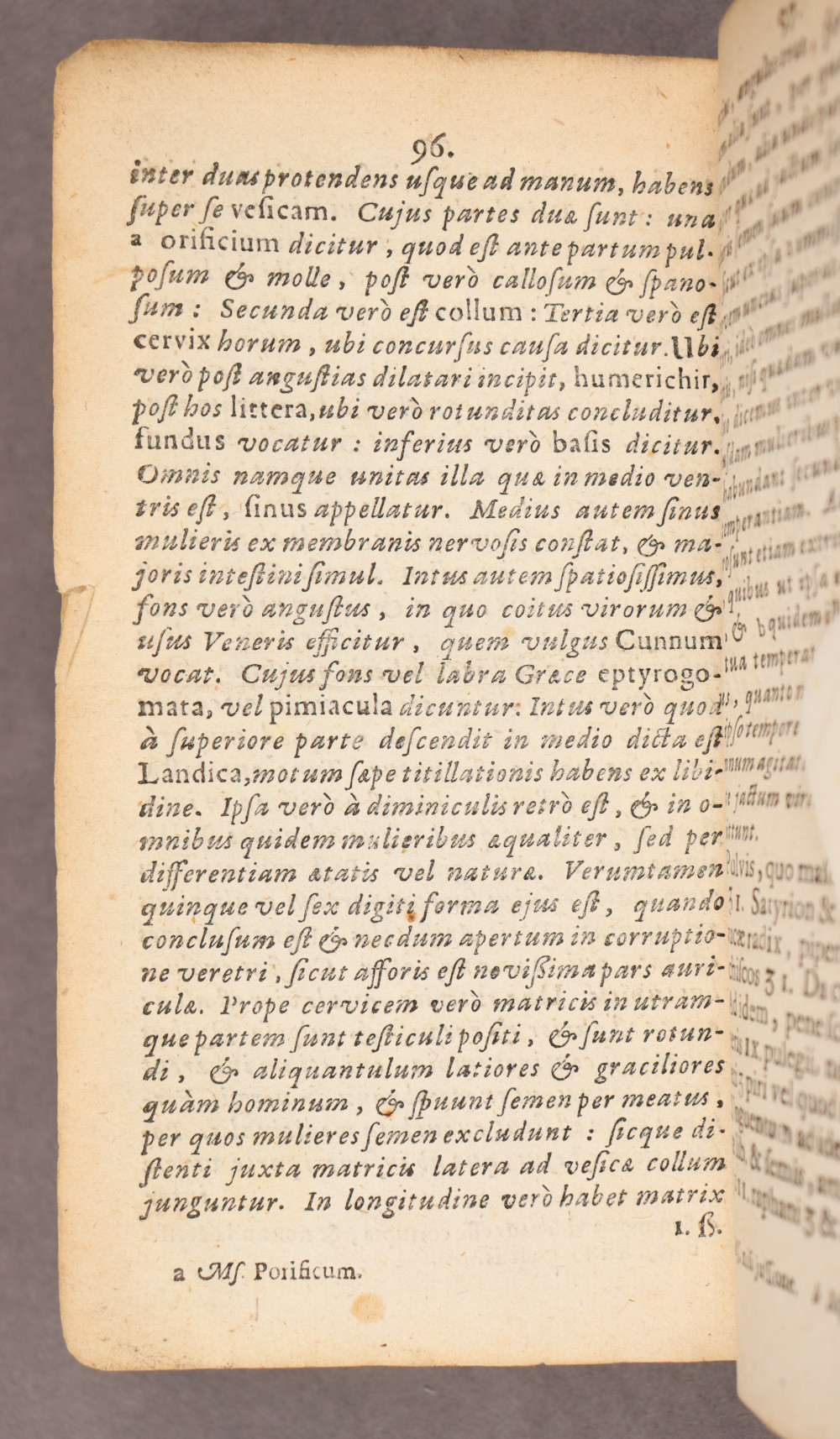 Page 96